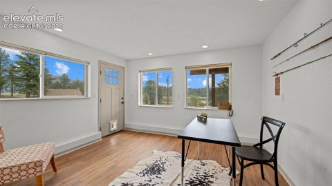 Tiny photo for 925 Midland Court, Lake George, CO 80827 (MLS # 6764373)