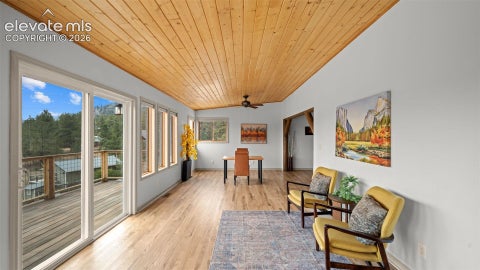 Tiny photo for 925 Midland Court, Lake George, CO 80827 (MLS # 6764373)