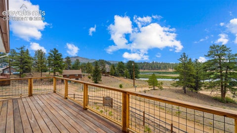 Tiny photo for 925 Midland Court, Lake George, CO 80827 (MLS # 6764373)