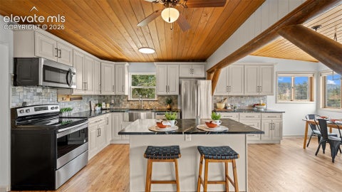 Tiny photo for 925 Midland Court, Lake George, CO 80827 (MLS # 6764373)