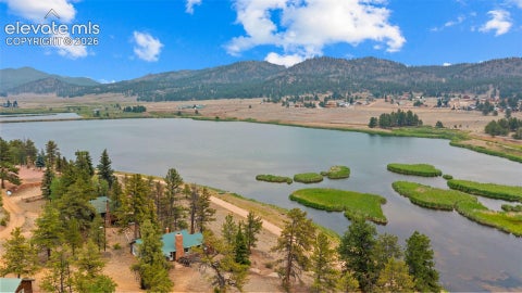 Tiny photo for 925 Midland Court, Lake George, CO 80827 (MLS # 6764373)