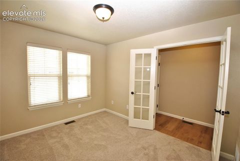 Tiny photo for 811 Yellow Jasper Point, Colorado Springs, CO 80921 (MLS # 1066555)