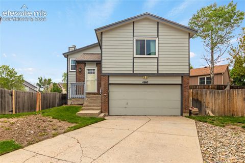 Photo of 4660 Badlands Court, Colorado Springs, CO 80922 (MLS # 8879336)