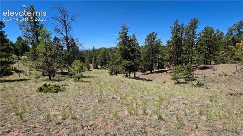 Photo of 1366 N Mountain Estates Road, Florissant, CO 80816 (MLS # 4369726)