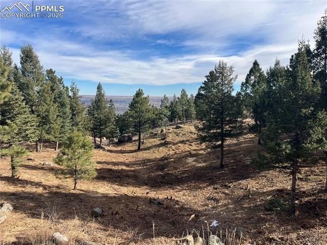 4875 Willow Stone Heights