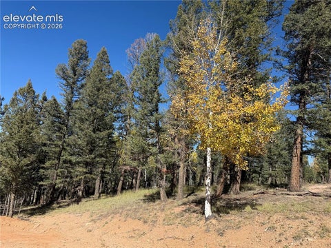 Photo of 37 Serenity Circle, Florissant, CO 80816 (MLS # 9482992)