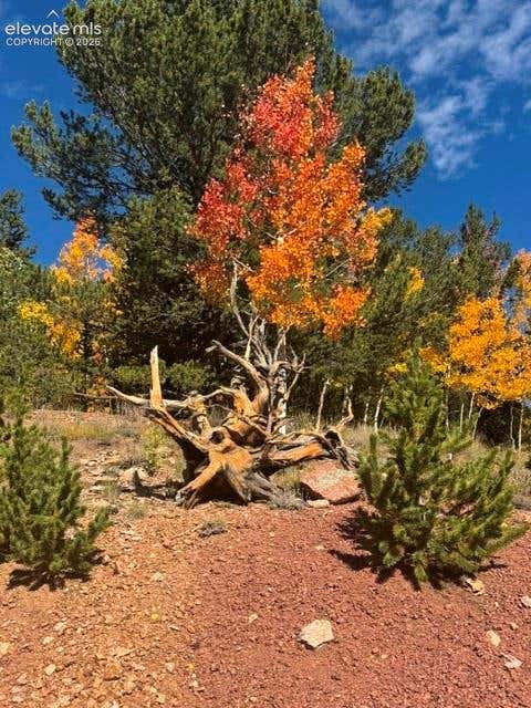 Tiny photo for 1052 Crown Point Circle, Cripple Creek, CO 80813 (MLS # 5827464)