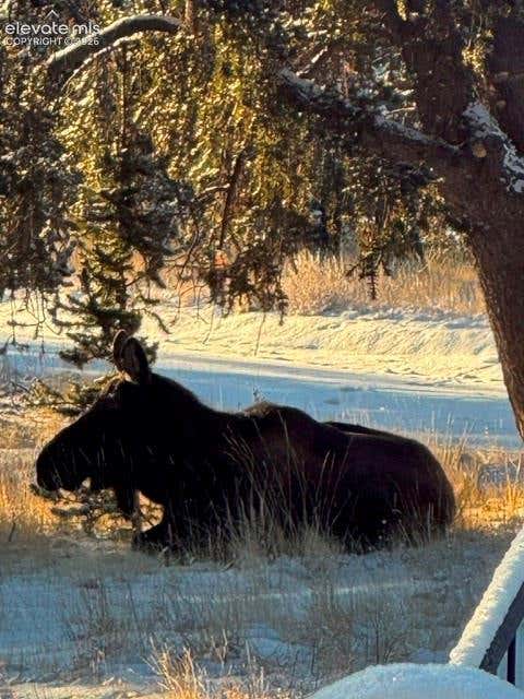 Tiny photo for 1052 Crown Point Circle, Cripple Creek, CO 80813 (MLS # 5827464)