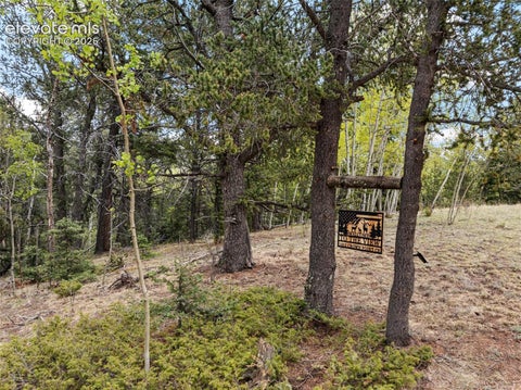 Tiny photo for 1052 Crown Point Circle, Cripple Creek, CO 80813 (MLS # 5827464)