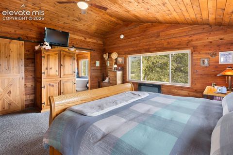 Tiny photo for 1052 Crown Point Circle, Cripple Creek, CO 80813 (MLS # 5827464)