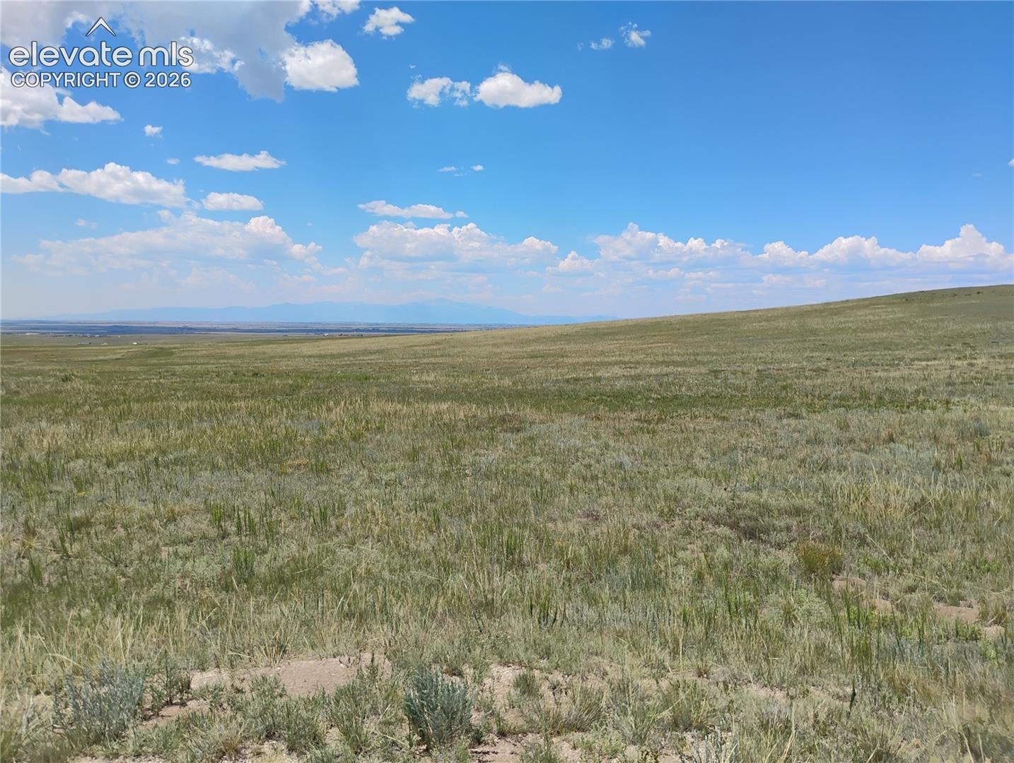 29455 Tallgrass View