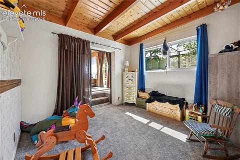 Tiny photo for 4455 Heizer Street, Cascade, CO 80809 (MLS # 2206535)