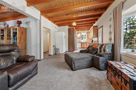 Tiny photo for 4455 Heizer Street, Cascade, CO 80809 (MLS # 2206535)