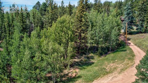 Photo of 158 Rattler Court, Cripple Creek, CO 80813 (MLS # 9137247)