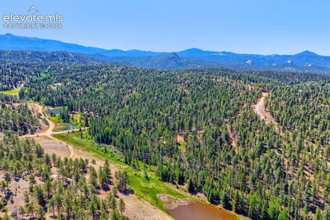 Tiny photo for 16 Echo Circle, Florissant, CO 80816 (MLS # 5646924)