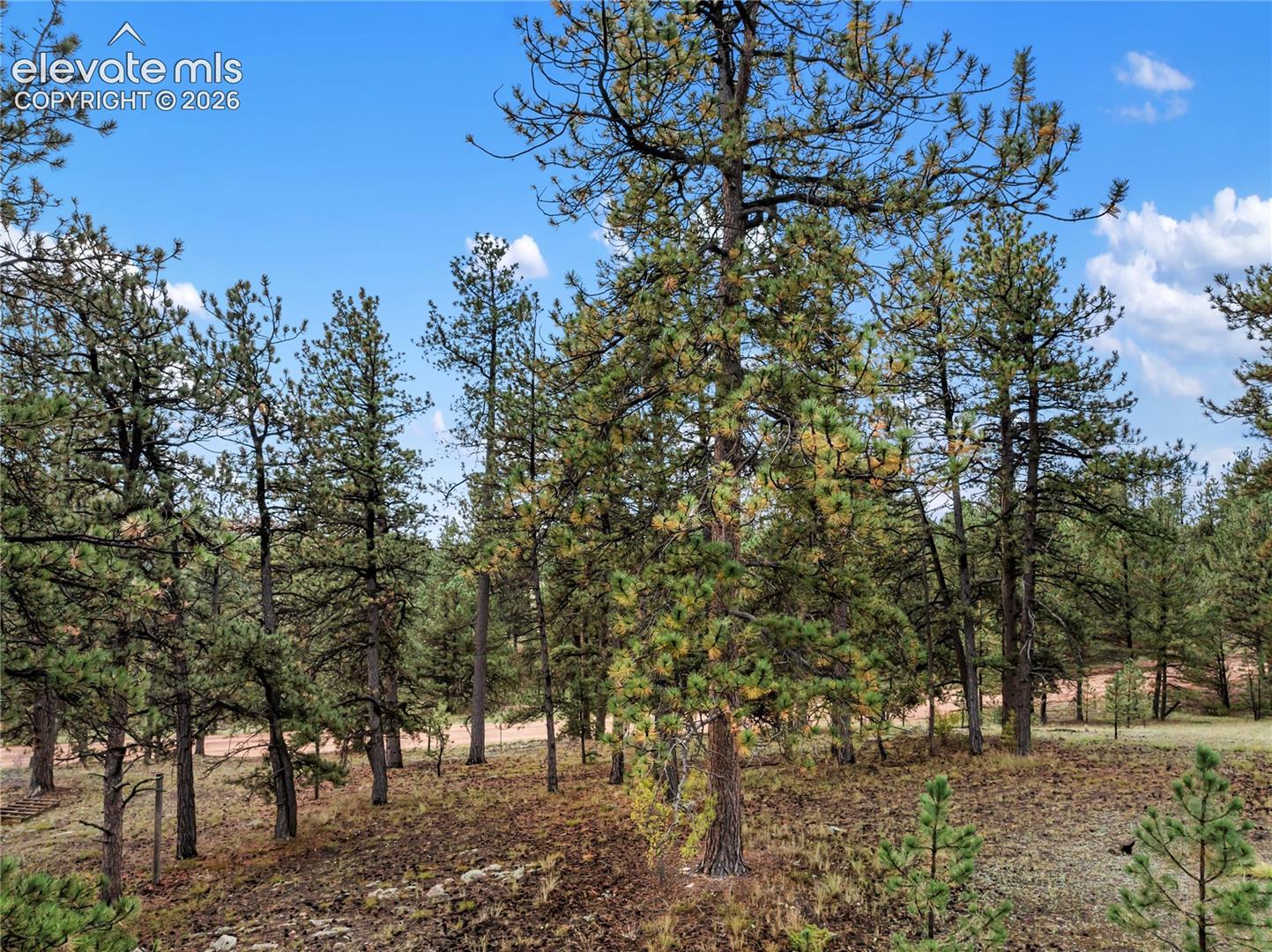 1583 County Road 12