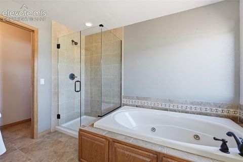Tiny photo for 715 Struthers Loop, Colorado Springs, CO 80921 (MLS # 4569689)