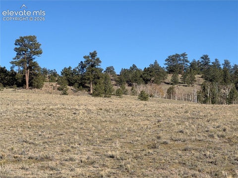 Photo of 2220 Caddo Road, Hartsel, CO 80449 (MLS # 4527990)
