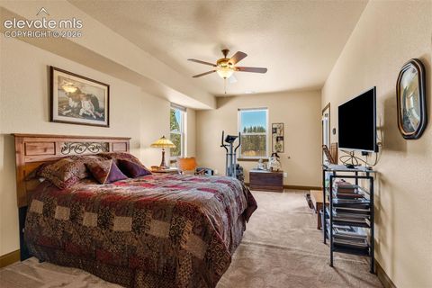 Tiny photo for 316 Greenhorn Drive, Canon City, CO 81212 (MLS # 2077576)