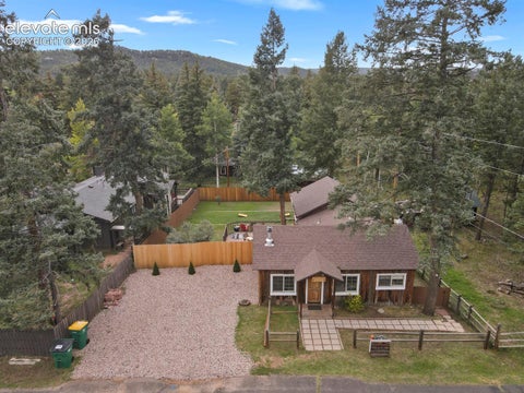 Tiny photo for 506 N Fairview Street, Woodland Park, CO 80863 (MLS # 5587768)