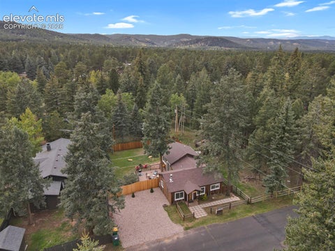 Tiny photo for 506 N Fairview Street, Woodland Park, CO 80863 (MLS # 5587768)