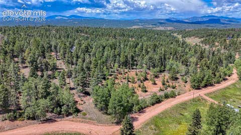 Photo of 244 Spring Valley Lane, Florissant, CO 80816 (MLS # 9095742)