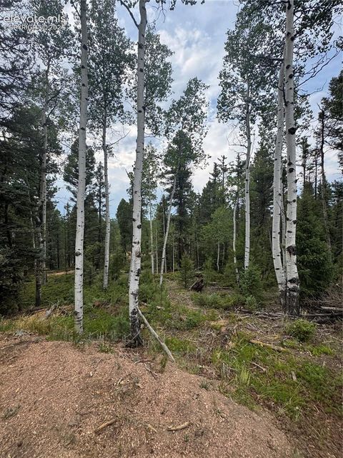 Photo of 111 Elk Creek Drive, Divide, CO 80814 (MLS # 1521390)