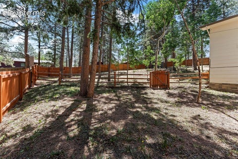 Tiny photo for 417 Coraline Street, Woodland Park, CO 80863 (MLS # 2577898)