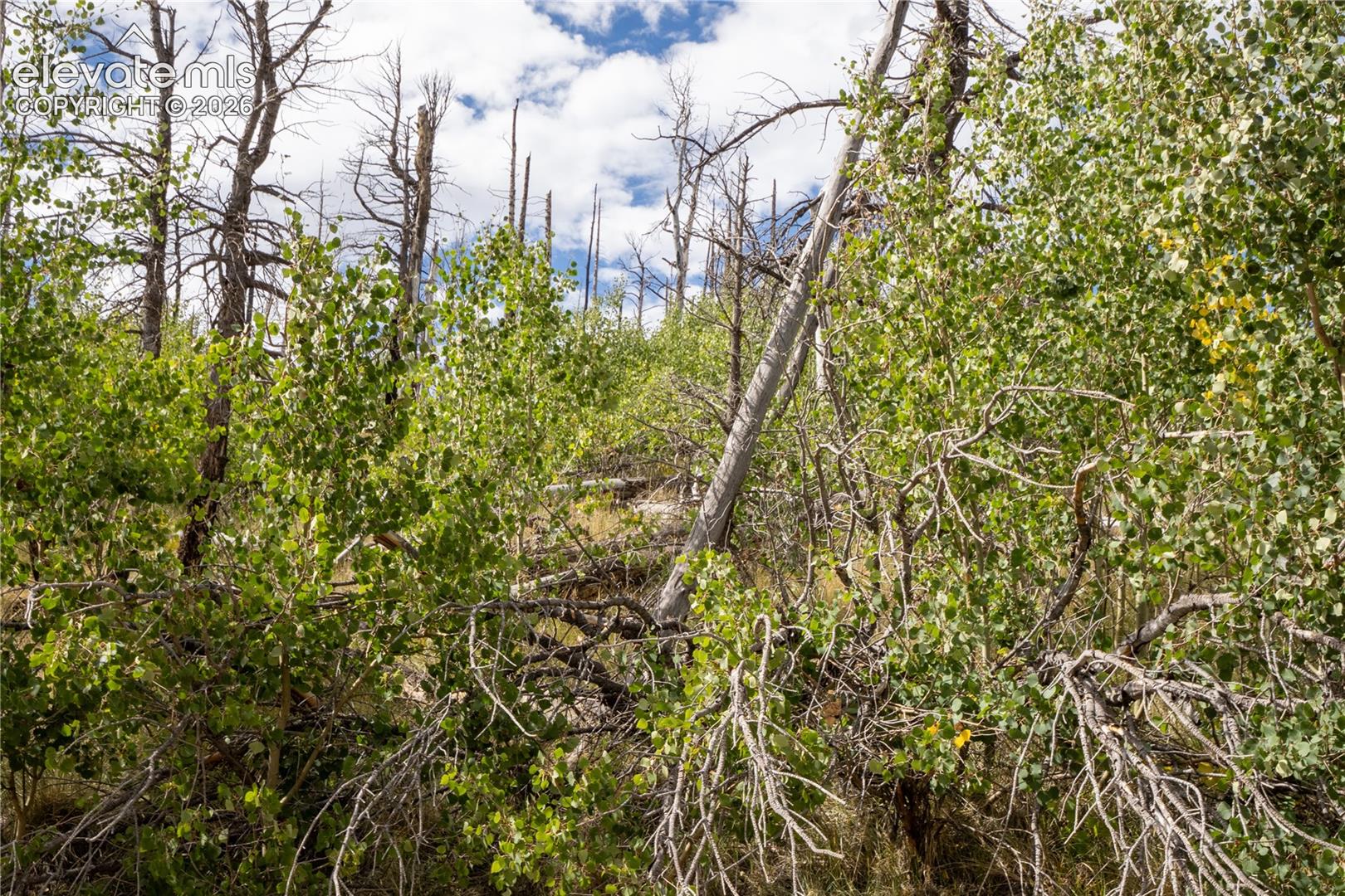 Lot 2748 Grojean Drive