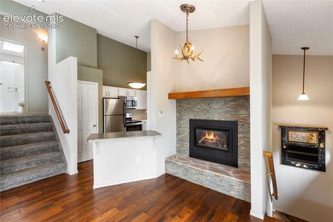 Tiny photo for 540 Greenway Court, Woodland Park, CO 80863 (MLS # 9761710)