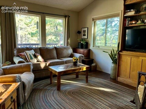 Tiny photo for 540 Greenway Court, Woodland Park, CO 80863 (MLS # 9761710)