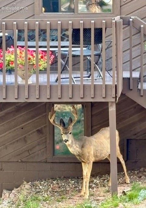 Tiny photo for 540 Greenway Court, Woodland Park, CO 80863 (MLS # 9761710)