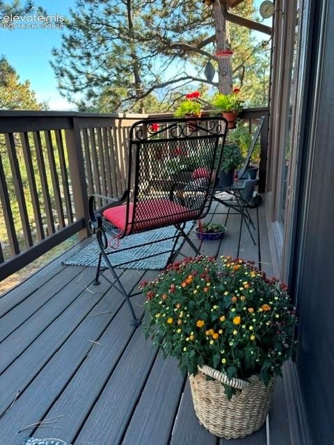Tiny photo for 540 Greenway Court, Woodland Park, CO 80863 (MLS # 9761710)