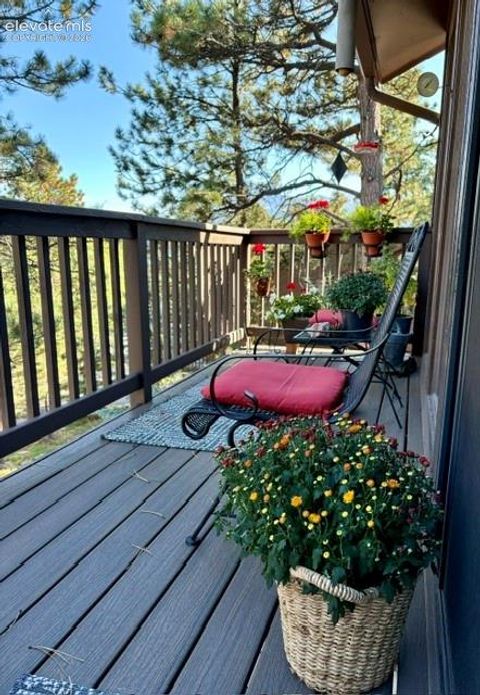 Tiny photo for 540 Greenway Court, Woodland Park, CO 80863 (MLS # 9761710)