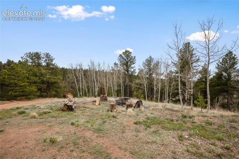 Tiny photo for 79 Beaver Creek Circle, Florissant, CO 80816 (MLS # 6808609)