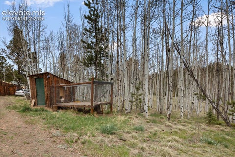 Tiny photo for 79 Beaver Creek Circle, Florissant, CO 80816 (MLS # 6808609)