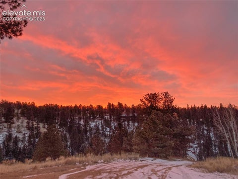 Tiny photo for 79 Beaver Creek Circle, Florissant, CO 80816 (MLS # 6808609)