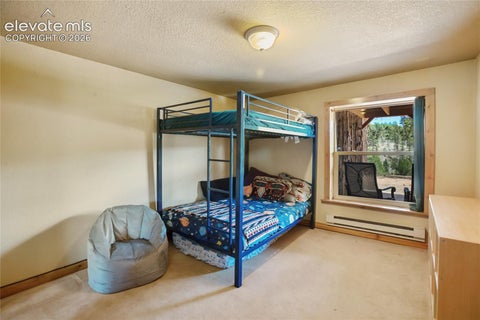Tiny photo for 79 Beaver Creek Circle, Florissant, CO 80816 (MLS # 6808609)