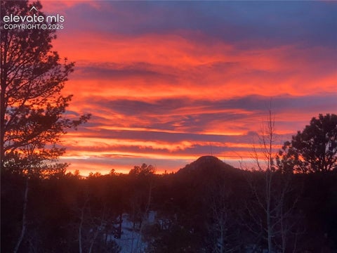 Tiny photo for 79 Beaver Creek Circle, Florissant, CO 80816 (MLS # 6808609)