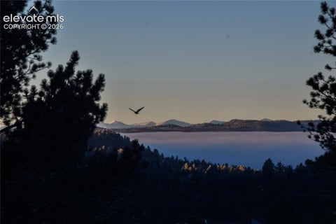 Tiny photo for 79 Beaver Creek Circle, Florissant, CO 80816 (MLS # 6808609)