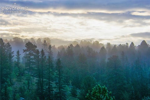Tiny photo for 79 Beaver Creek Circle, Florissant, CO 80816 (MLS # 6808609)