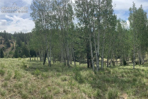 Tiny photo for 79 Beaver Creek Circle, Florissant, CO 80816 (MLS # 6808609)