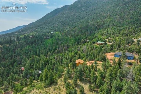 Tiny photo for 5545 Scout Ridge Trail, Cascade, CO 80809 (MLS # 3538813)