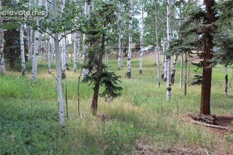 Photo of 175 Club Drive, Woodland Park, CO 80863 (MLS # 9756792)