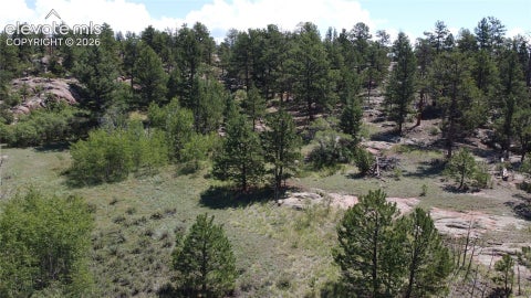 Photo of 204 Pike View Lane, Florissant, CO 80816 (MLS # 1338131)