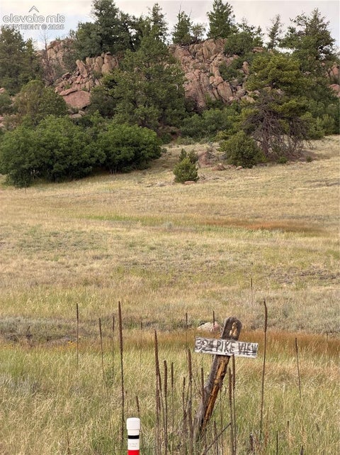 Photo of 204 Pike View Lane, Florissant, CO 80816 (MLS # 1338131)