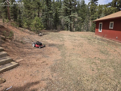 Tiny photo for 875 Obsidian Drive, Florissant, CO 80816 (MLS # 9842029)