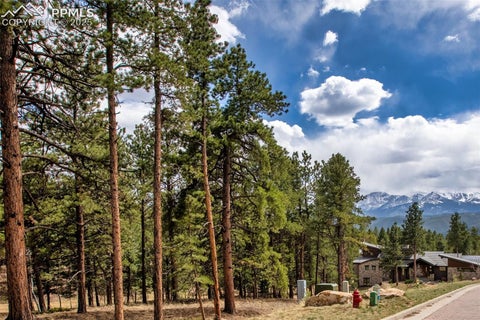 Photo of 271 Thunder Ridge Drive, Woodland Park, CO 80863 (MLS # 7861672)