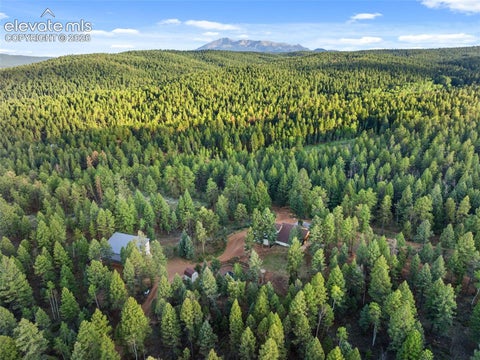 Tiny photo for 1933 County Road 782, Woodland Park, CO 80863 (MLS # 5899094)