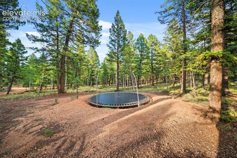 Tiny photo for 1933 County Road 782, Woodland Park, CO 80863 (MLS # 5899094)